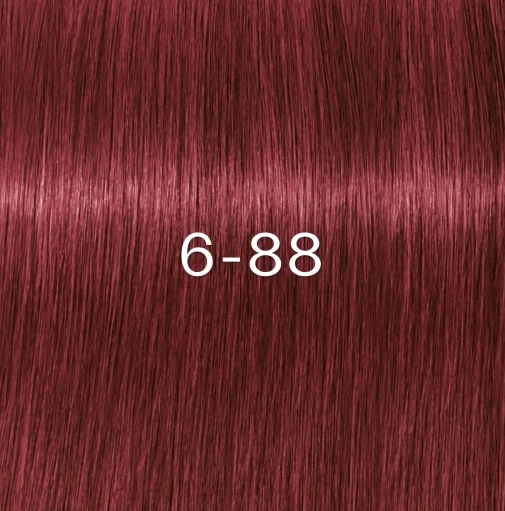Schwarzkopf Igora Zero AMM - 6-88 Hajfesték 60ml főképe